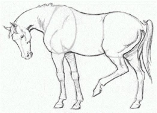 Hvordan tegne en hest i en bils epoke